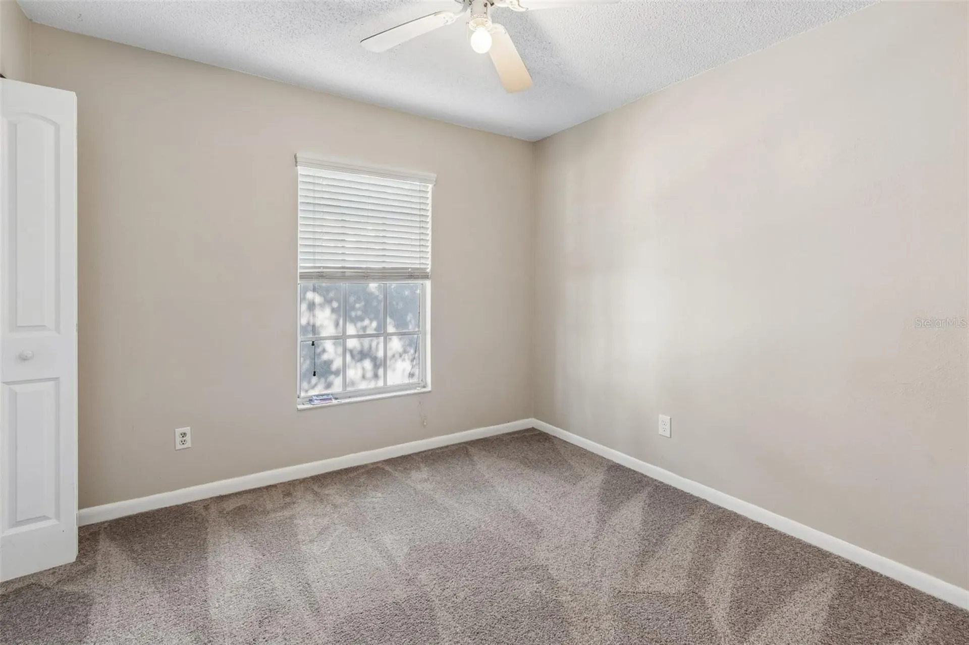 5156 Sunridge Palms Drive Tampa FL 33617