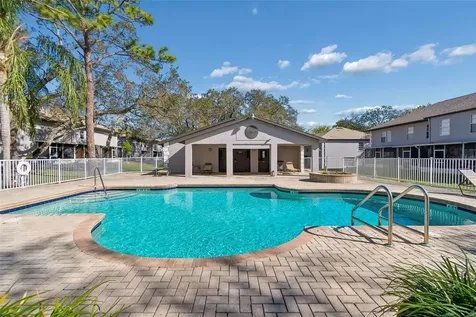 5156 Sunridge Palms Drive Tampa FL 33617