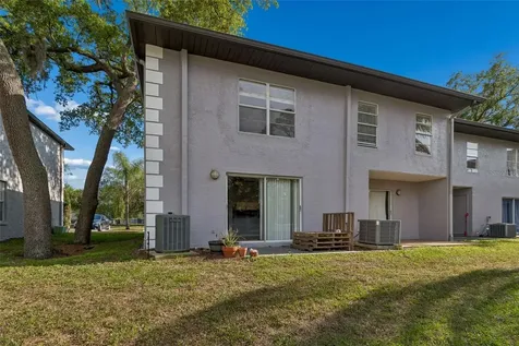 5156 Sunridge Palms Drive Tampa FL 33617