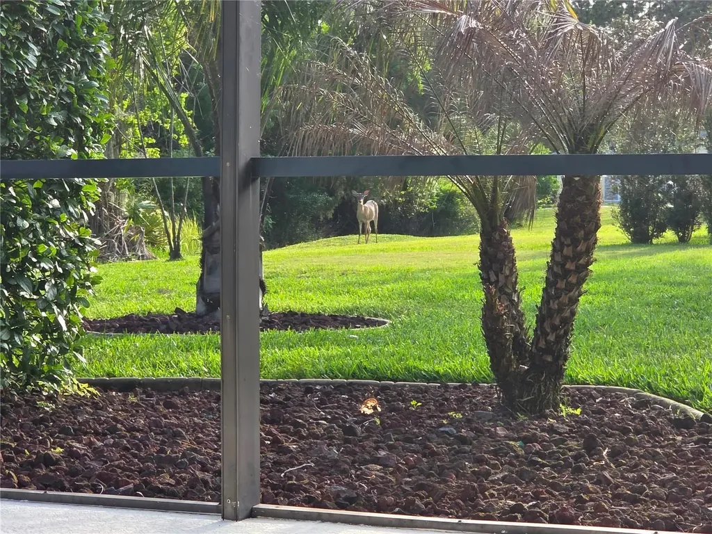 3785 Hammonds Ferry Court Oviedo FL 32766