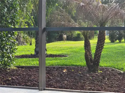 3785 Hammonds Ferry Court Oviedo FL 32766