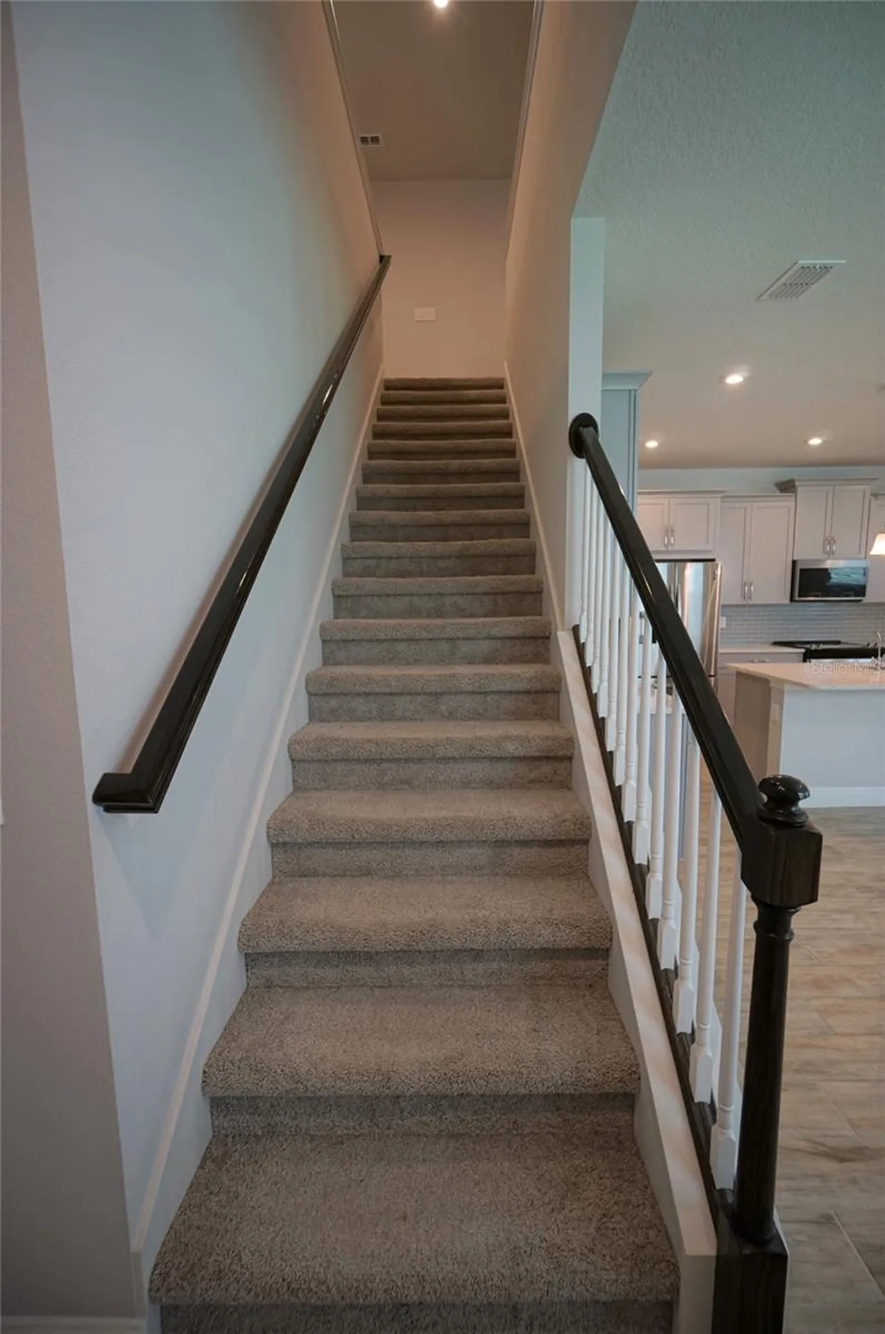 6016 Grand Sonata Avenue Lutz FL 33558