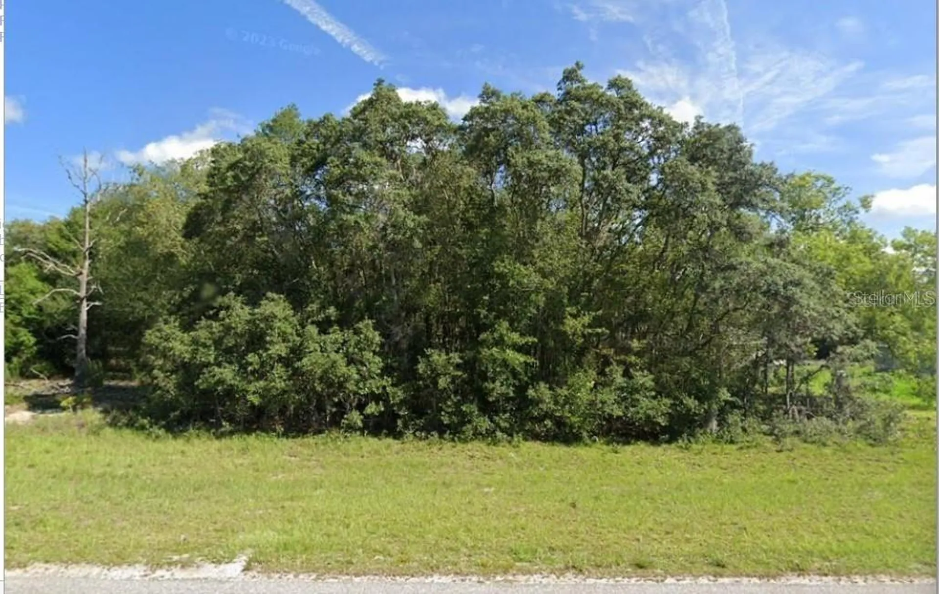 00 Malauka Road Ocklawaha FL 32179