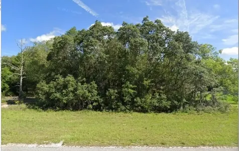 00 Malauka Road Ocklawaha FL 32179