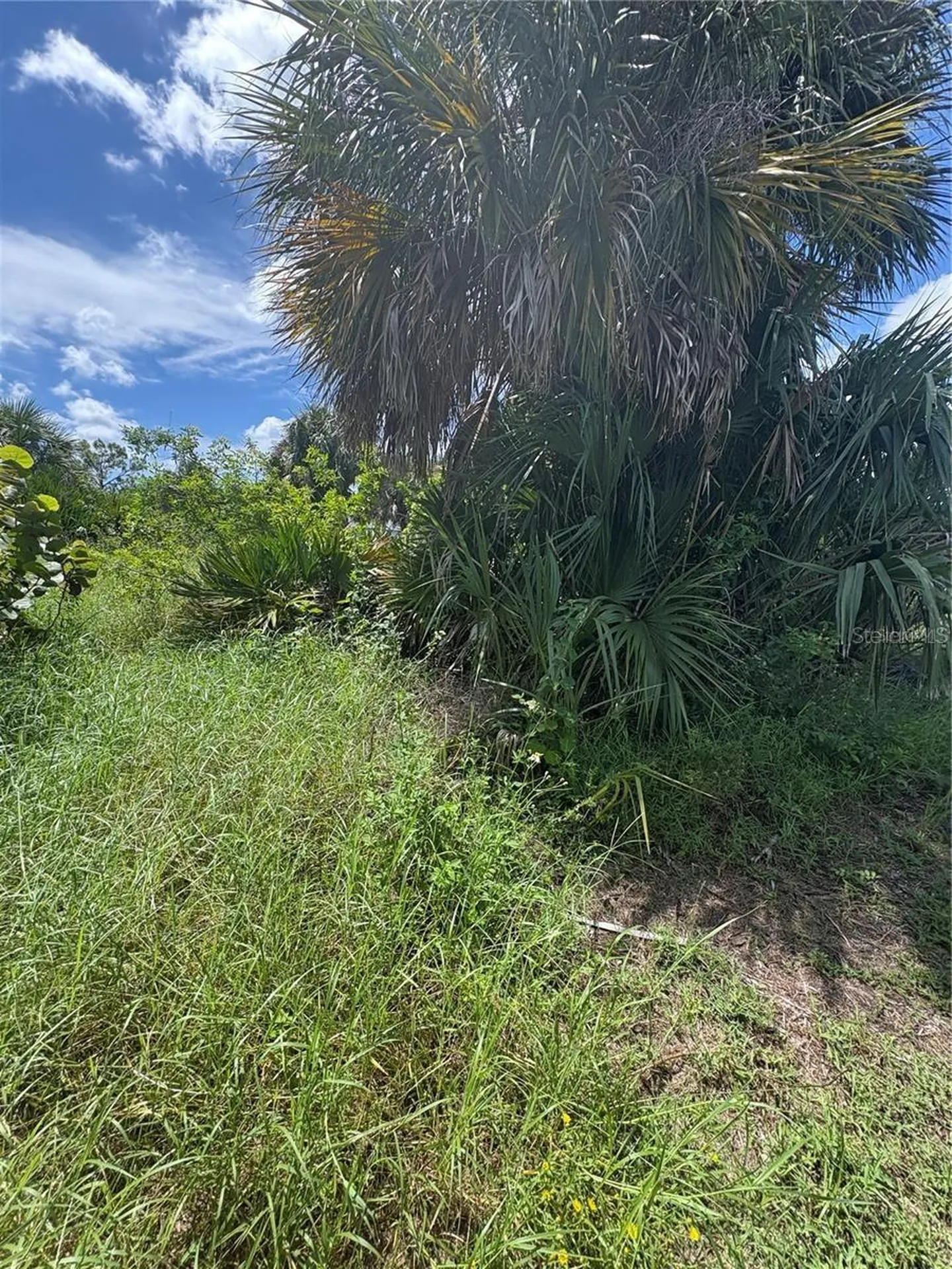 16936 Ohara Drive Port Charlotte FL 33948