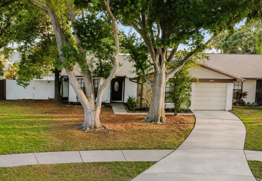 2031 Dover Court Oldsmar FL 34677