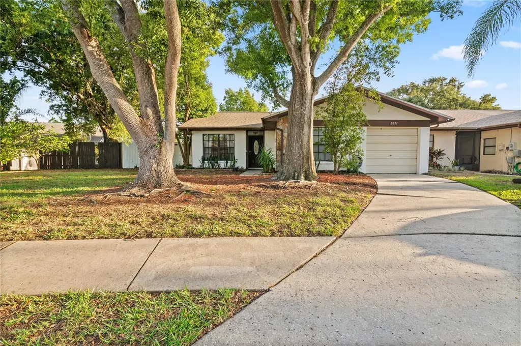 2031 Dover Court Oldsmar FL 34677