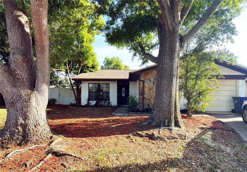 2031 Dover Court Oldsmar FL 34677