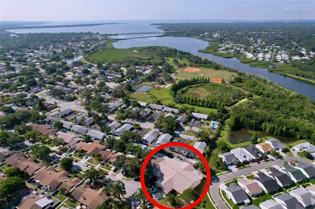 2031 Dover Court Oldsmar FL 34677