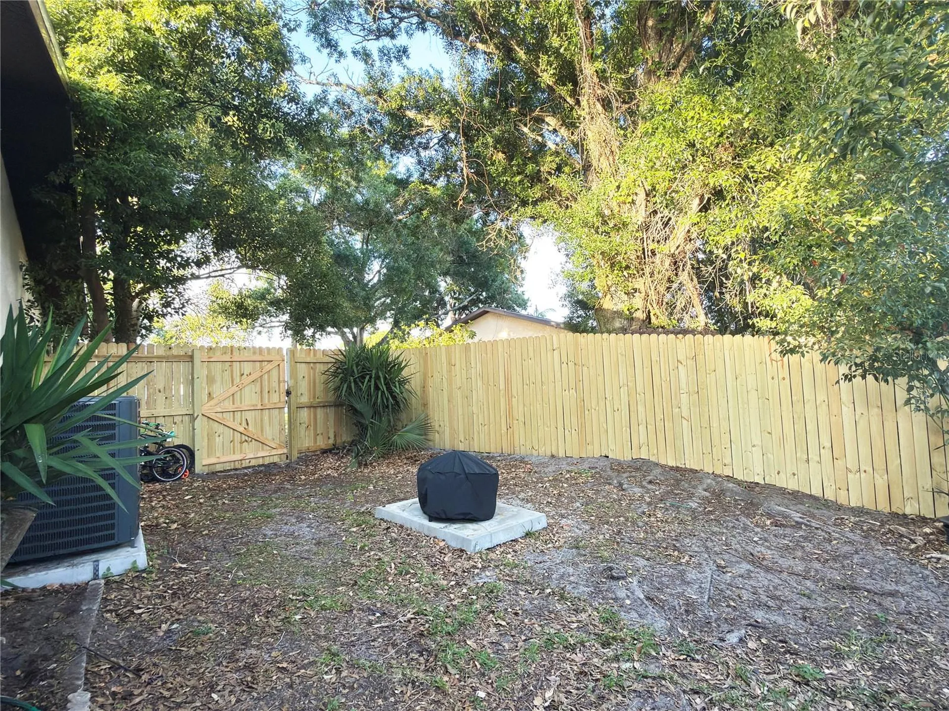 2031 Dover Court Oldsmar FL 34677