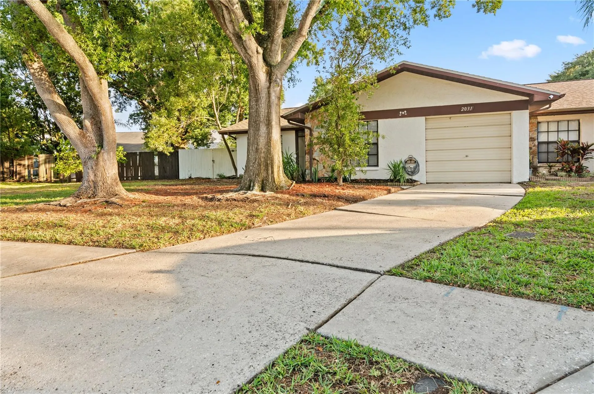 2031 Dover Court Oldsmar FL 34677