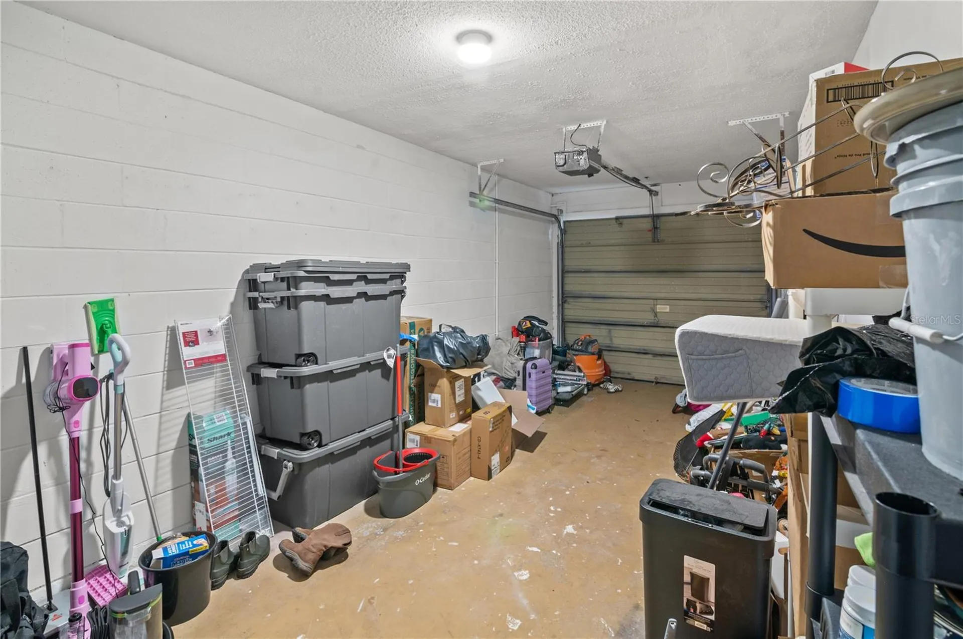 2031 Dover Court Oldsmar FL 34677