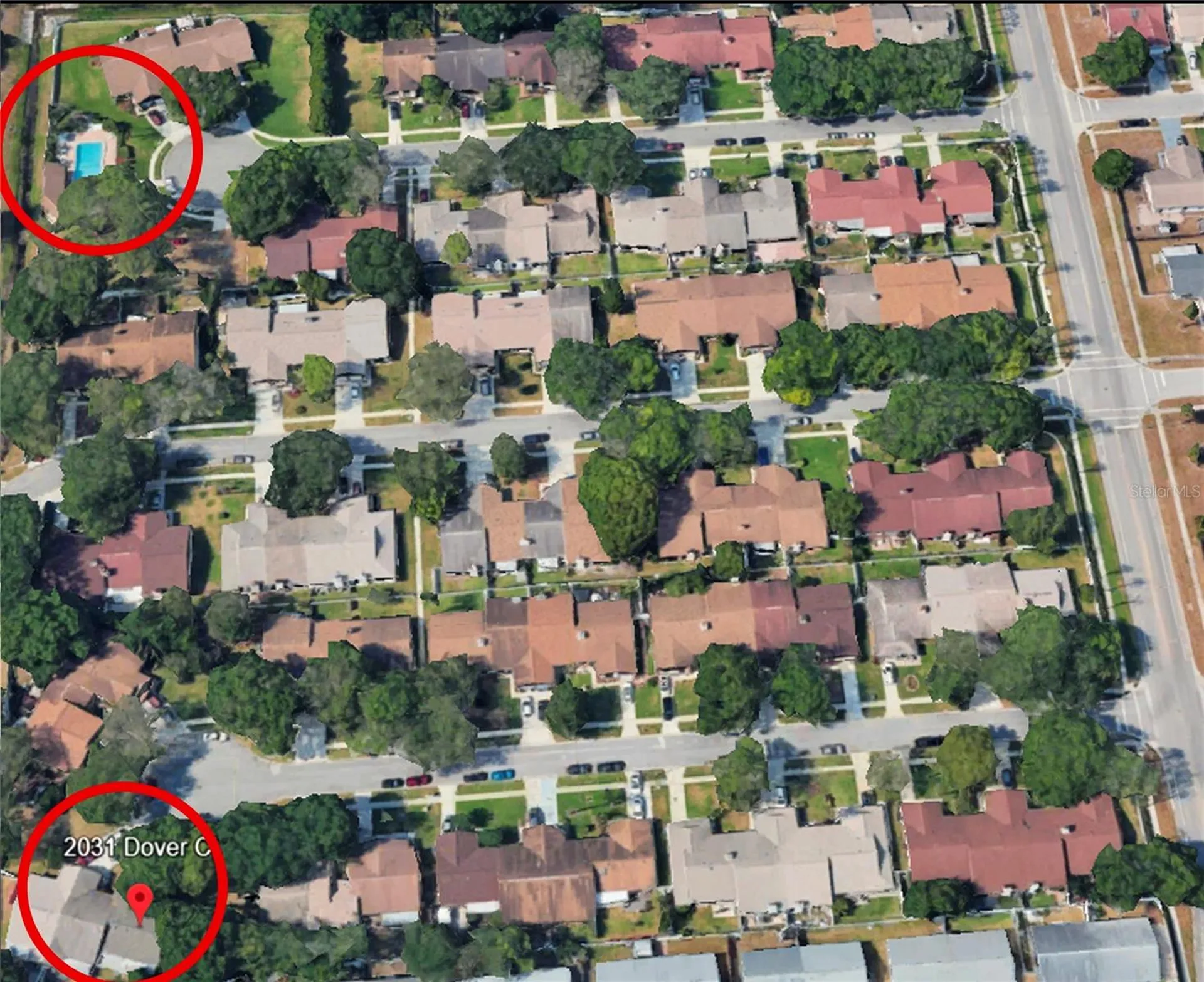 2031 Dover Court Oldsmar FL 34677