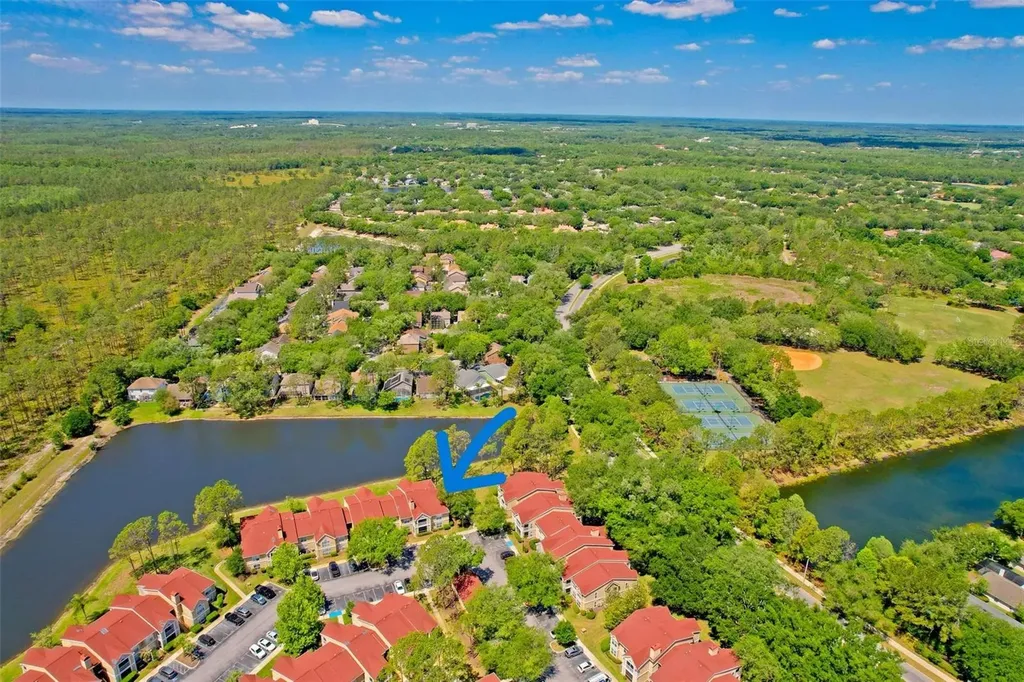9481 Highland Oak Drive Tampa FL 33647