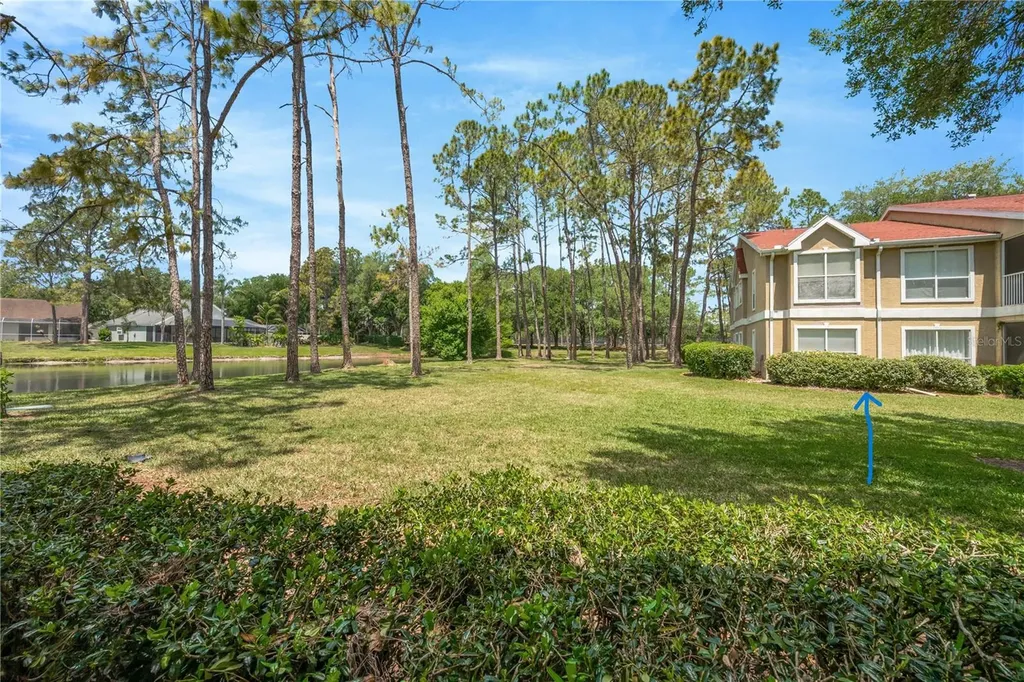 9481 Highland Oak Drive Tampa FL 33647