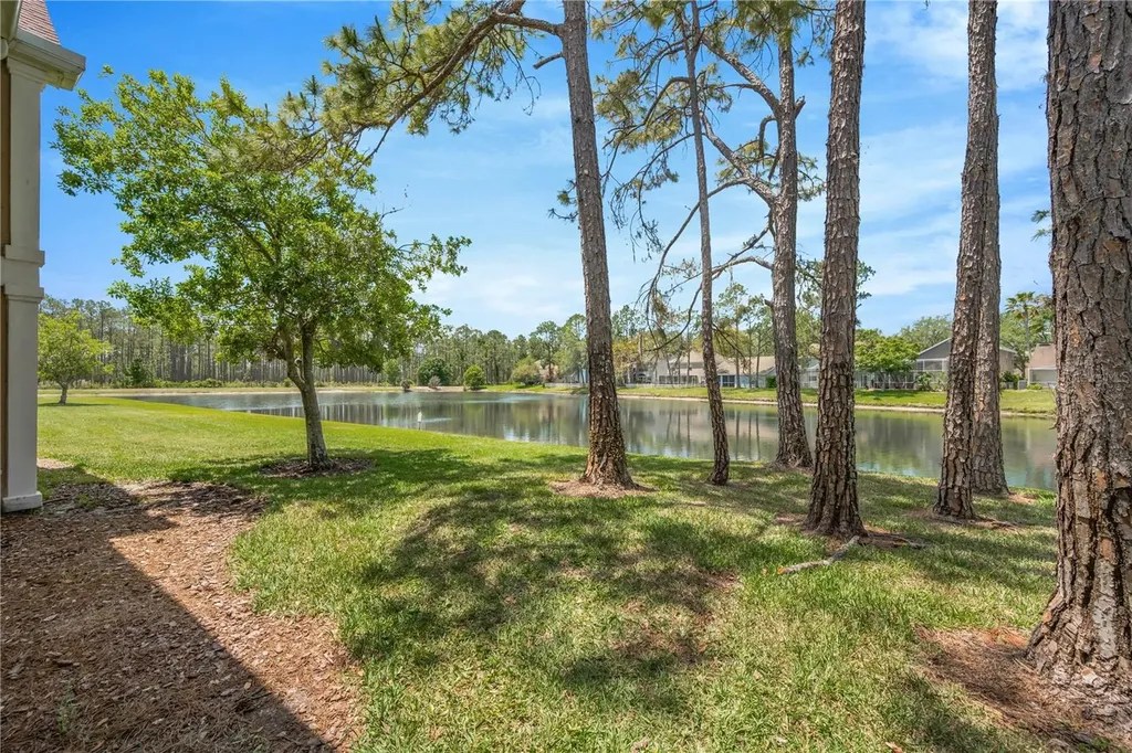 9481 Highland Oak Drive Tampa FL 33647