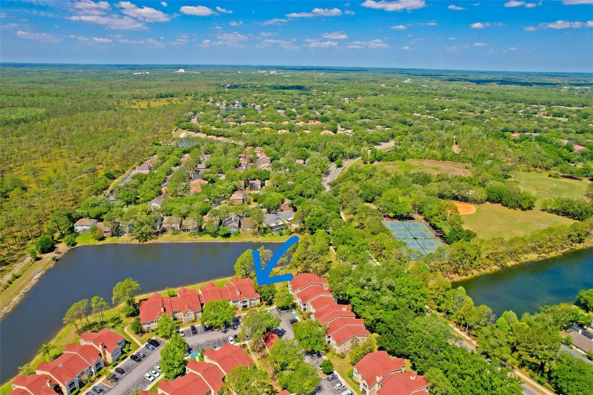 9481 Highland Oak Drive Tampa FL 33647