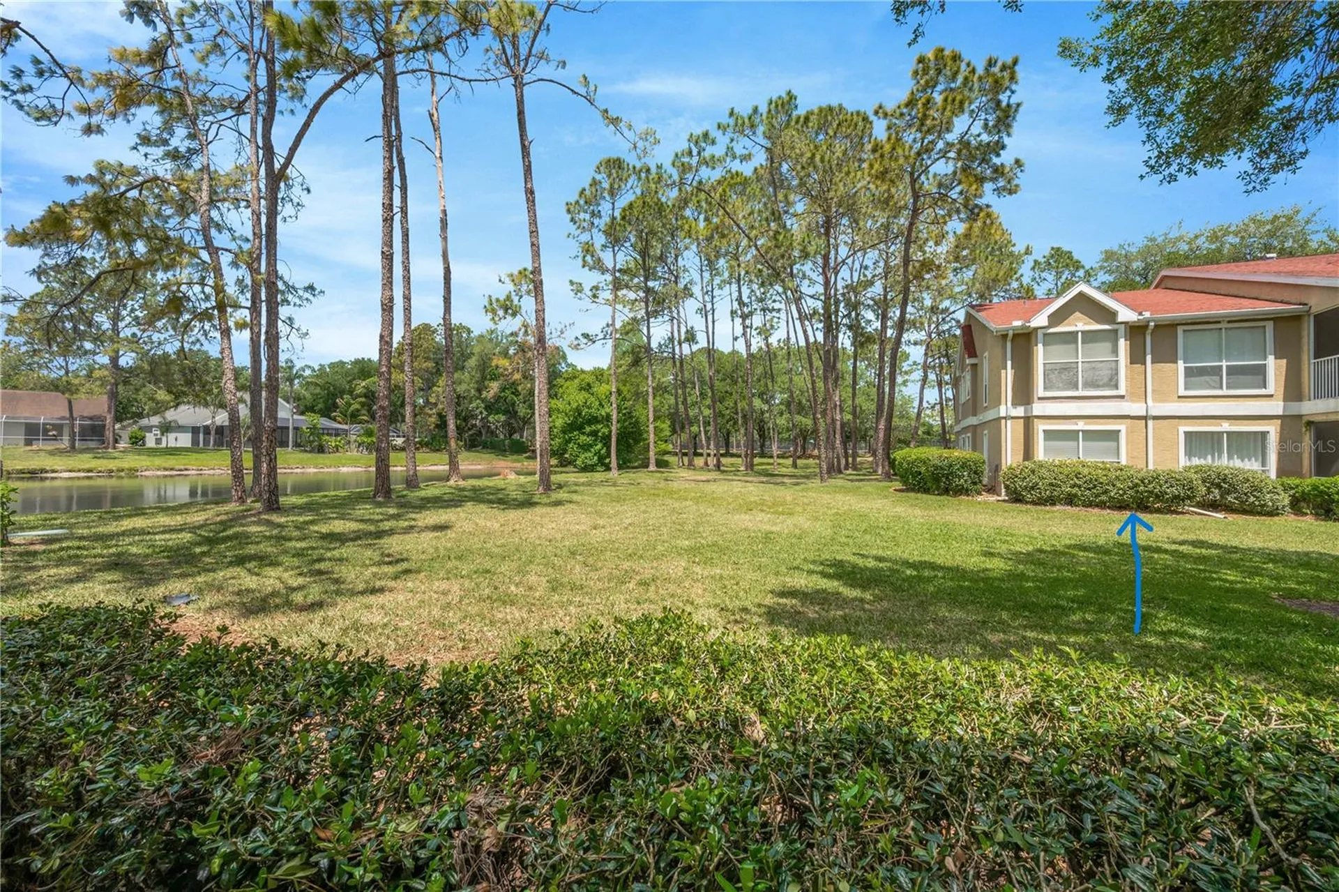 9481 Highland Oak Drive Tampa FL 33647
