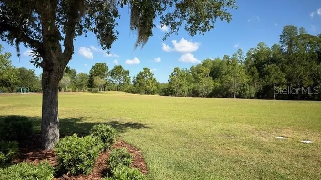4129 Beeswax Lane Land O Lakes FL 34638