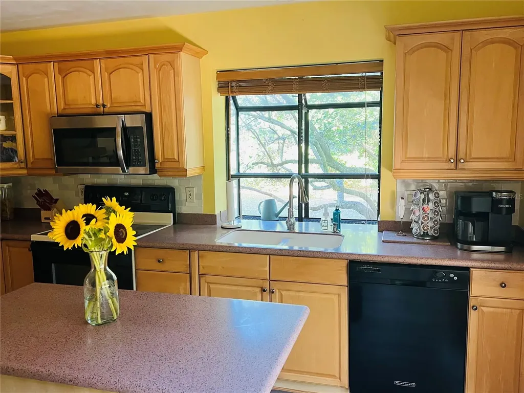1721 Lake Cypress Drive Safety Harbor FL 34695