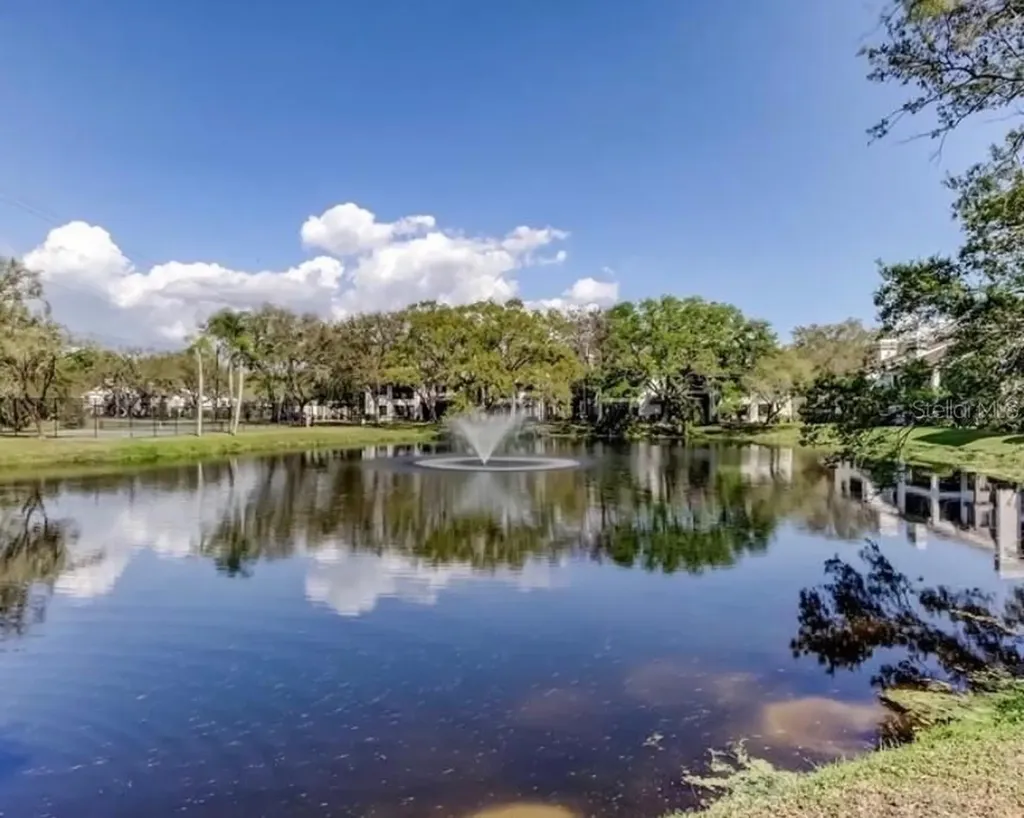 1721 Lake Cypress Drive Safety Harbor FL 34695