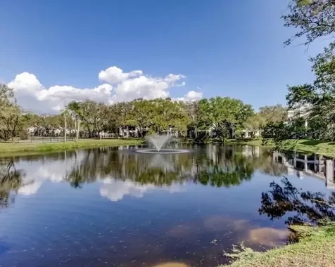1721 Lake Cypress Drive Safety Harbor FL 34695