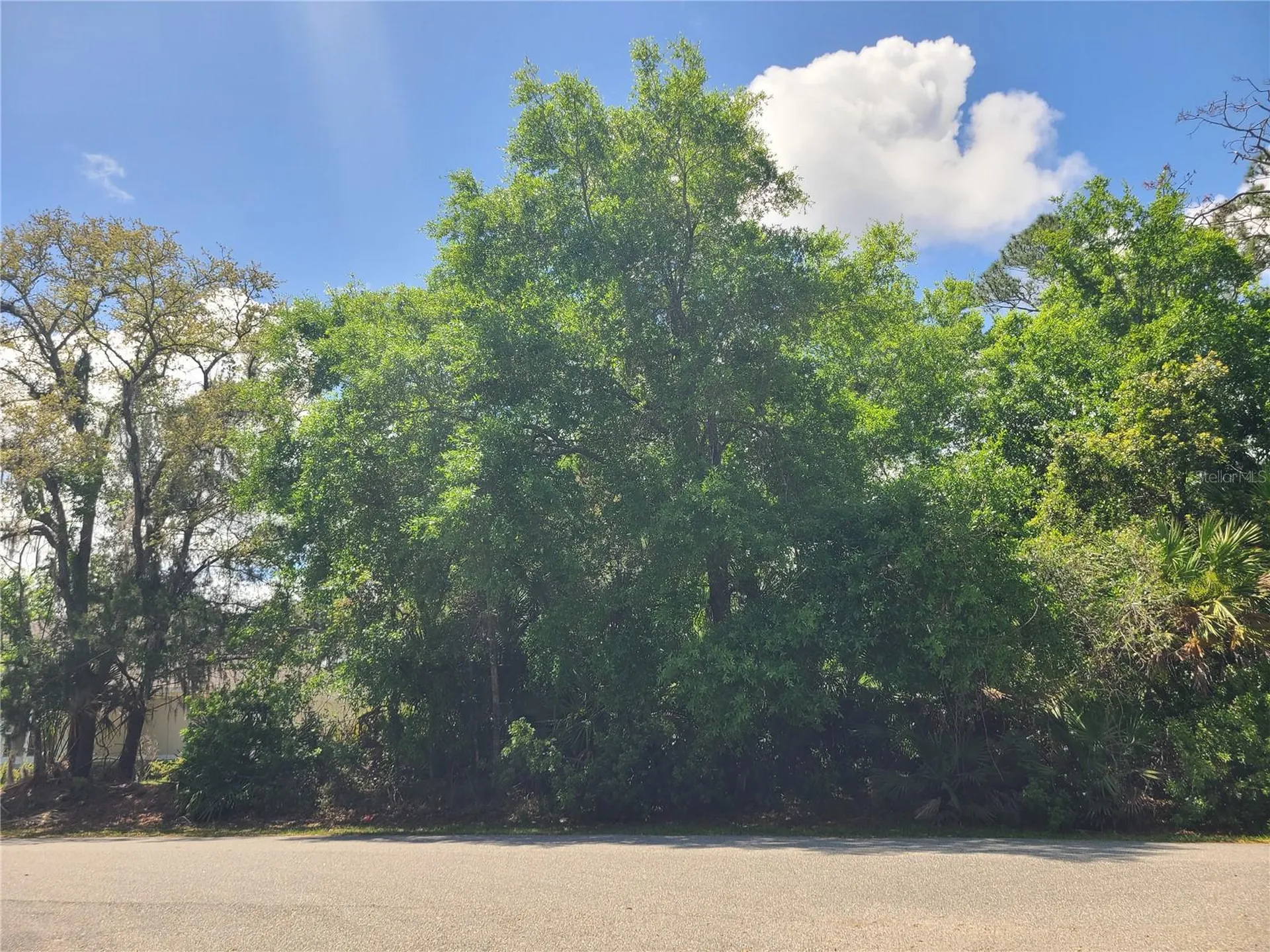 17 Farver Lane Palm Coast FL 32137