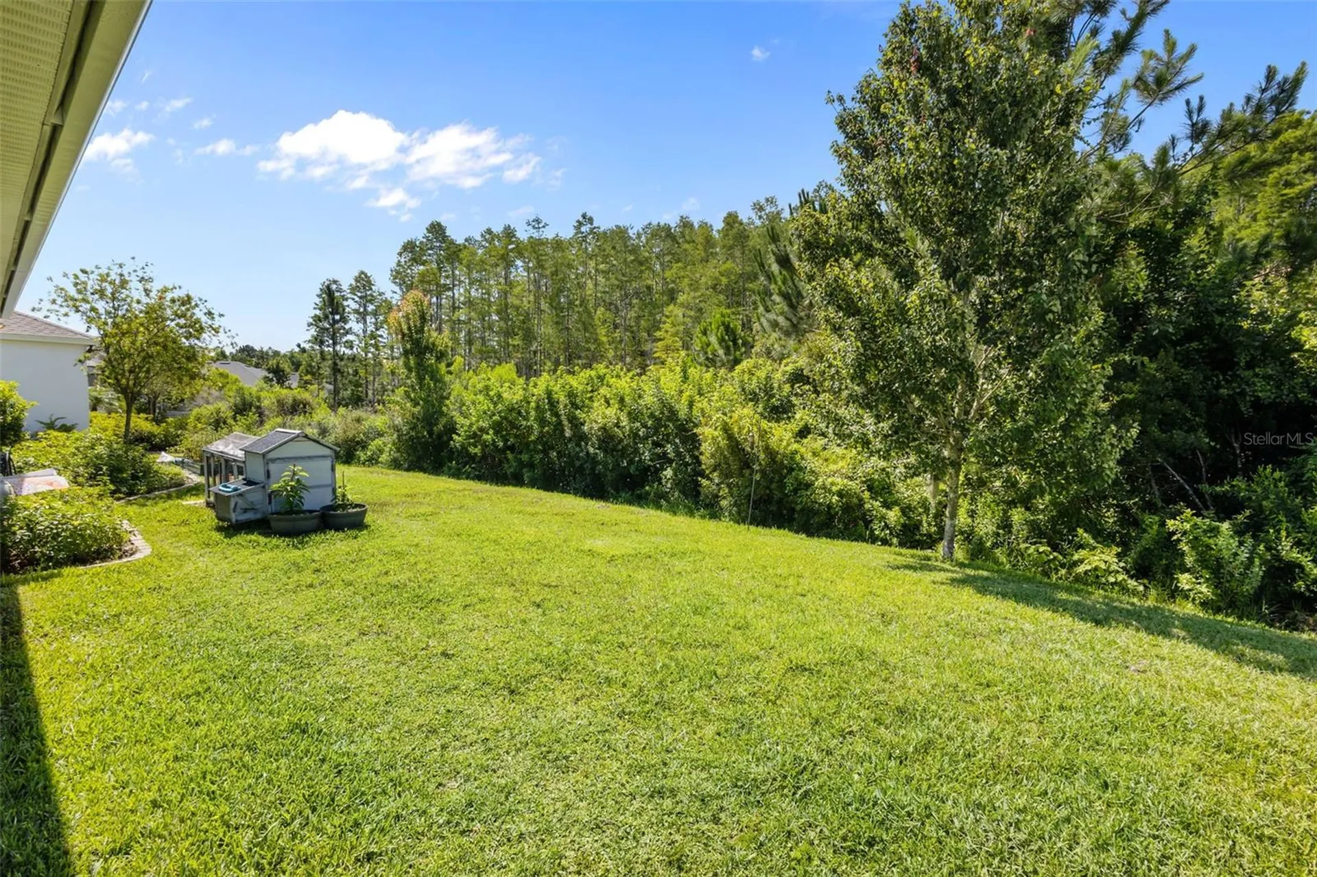 15304 Fenland Way Odessa FL 33556
