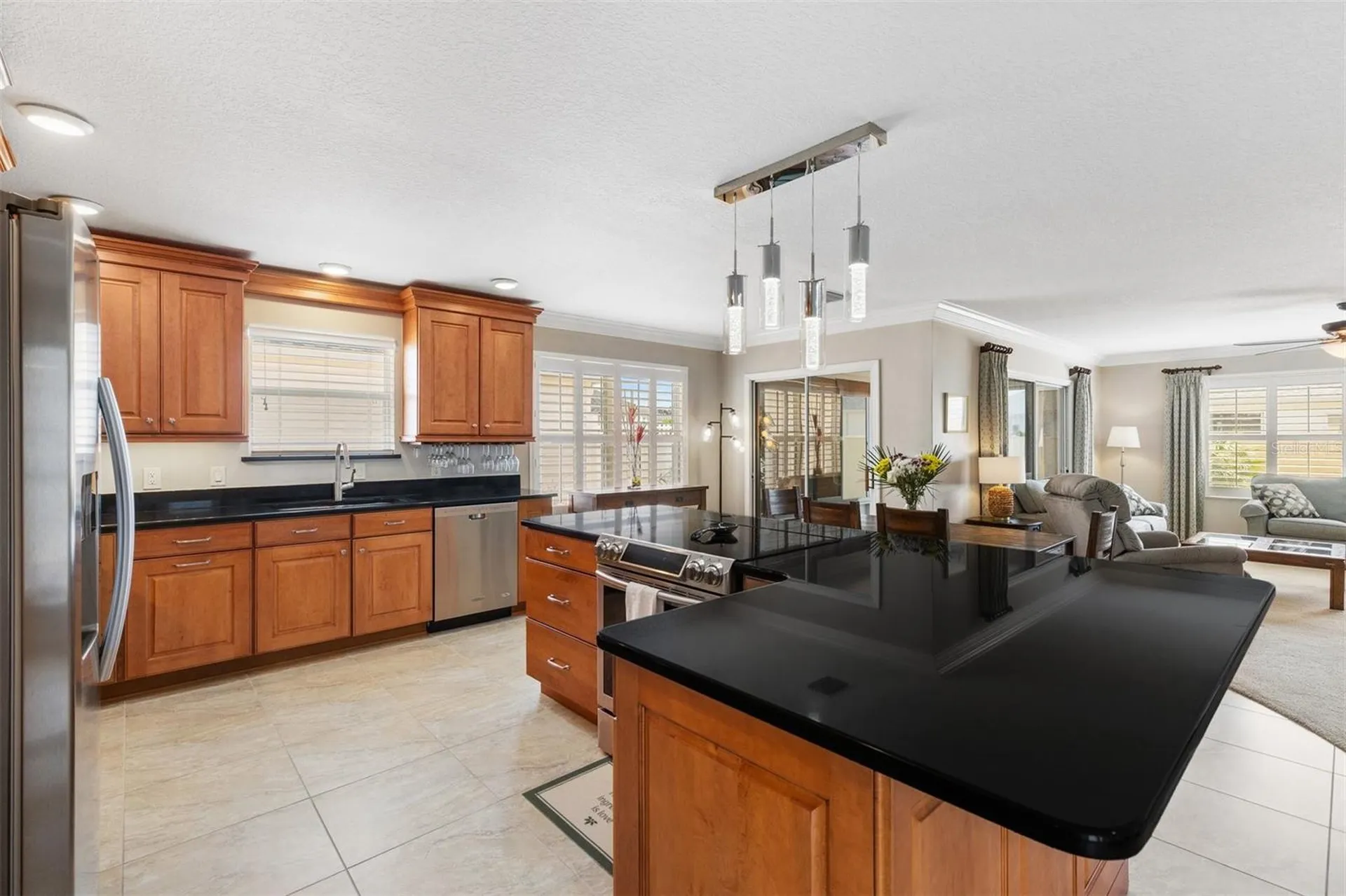 16859 SE 80th Bathurst Court The Villages FL 32162