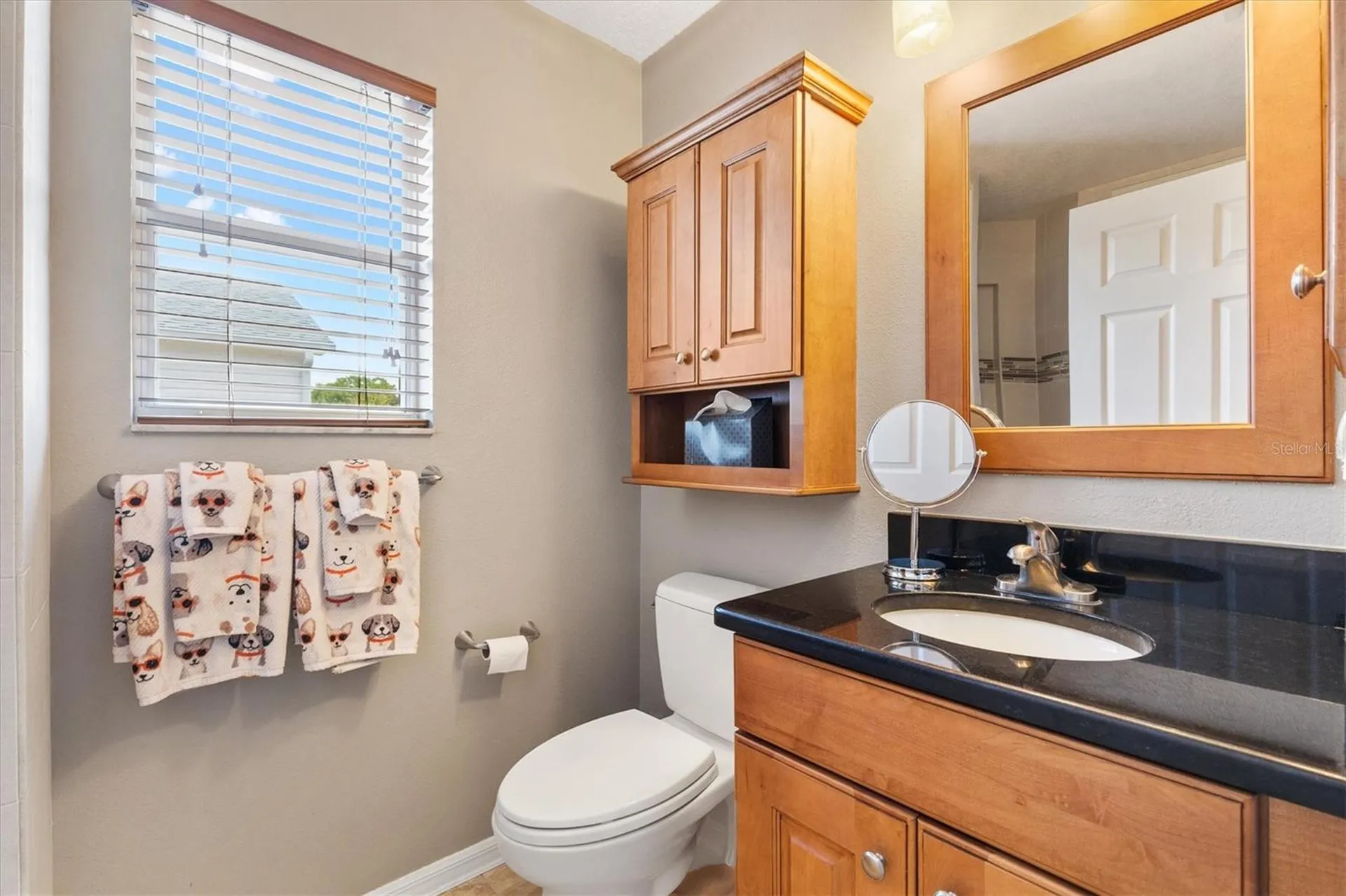 16859 SE 80th Bathurst Court The Villages FL 32162