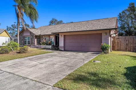 1606 Dusty Rose Lane Brandon FL 33510