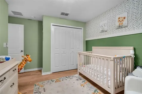 3806 Daisy Bloom Place Tampa FL 33619