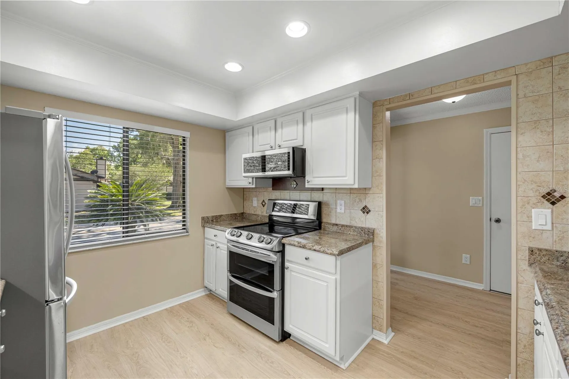 3856 NE 19th Street Circle Ocala FL 34470