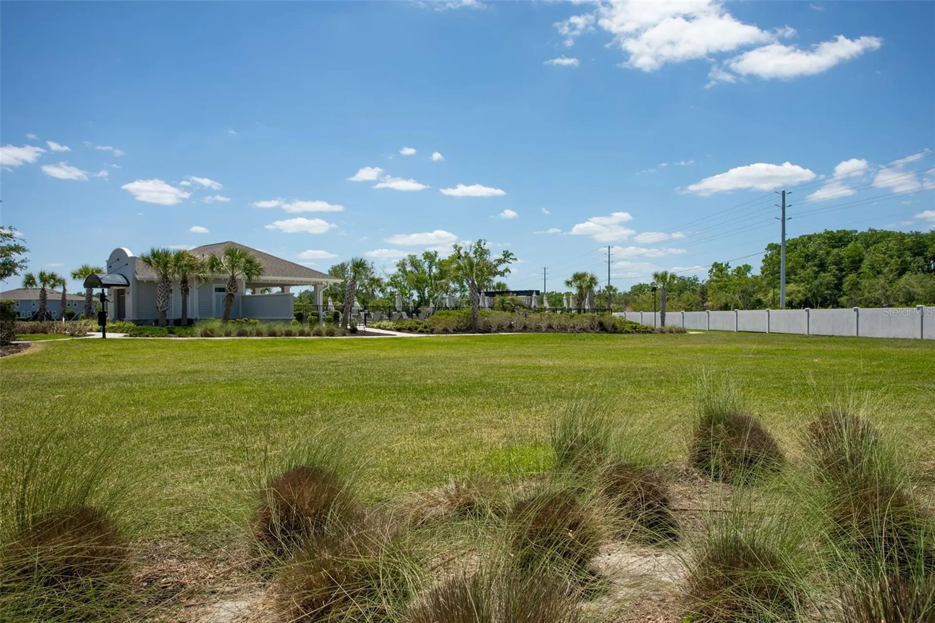 4317 Cloud Hopper Way Lutz FL 33559