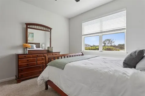 4317 Cloud Hopper Way Lutz FL 33559