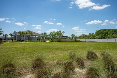 4317 Cloud Hopper Way Lutz FL 33559
