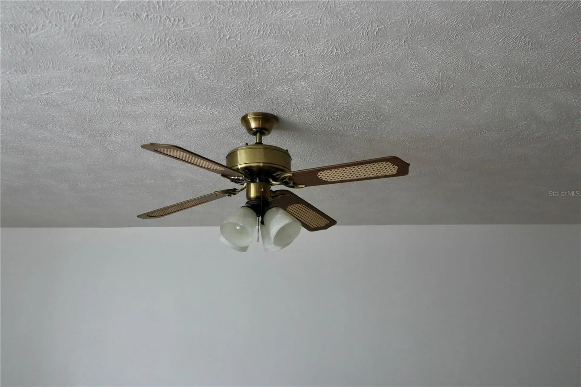 3929 NE 21st Lane Ocala FL 34470