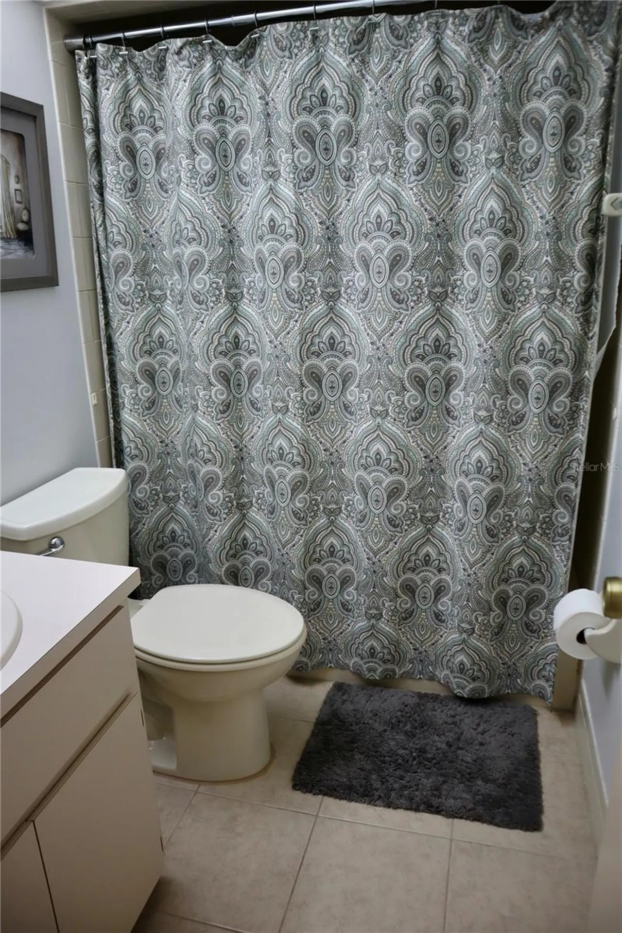 3929 NE 21st Lane Ocala FL 34470