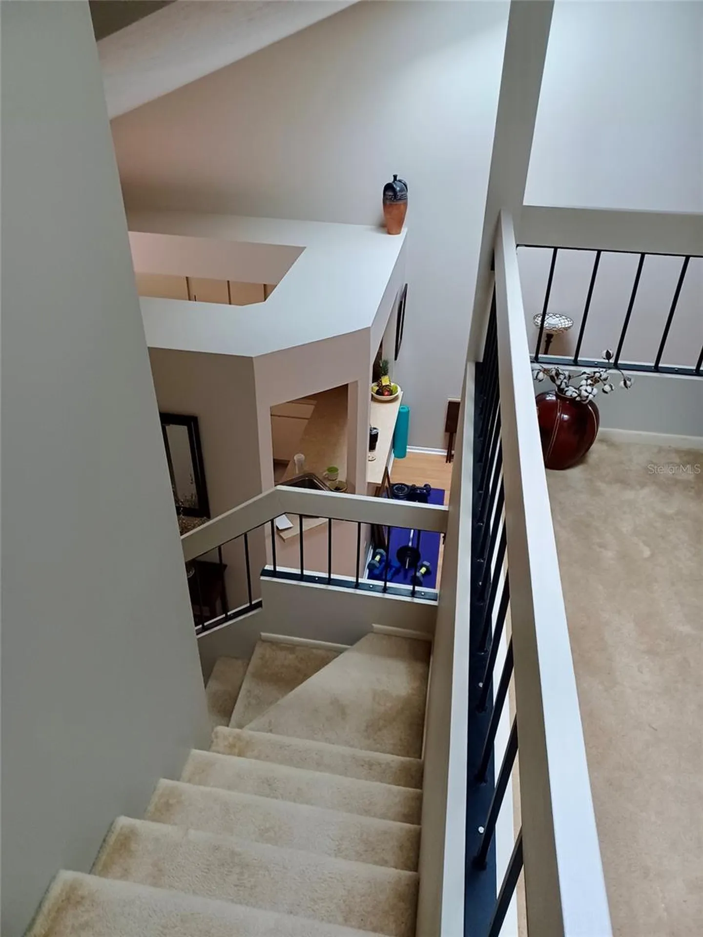 3929 NE 21st Lane Ocala FL 34470