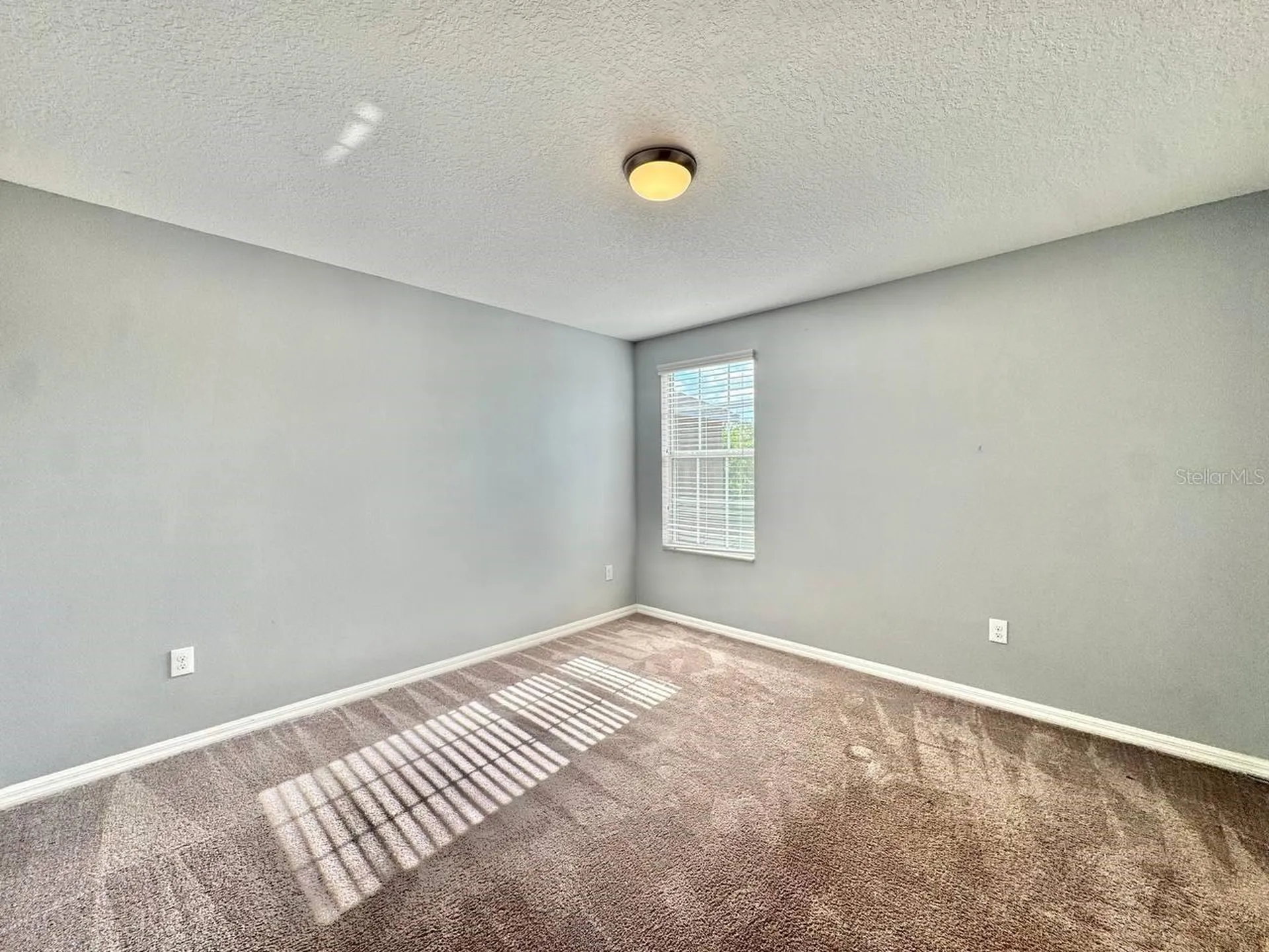 6533 Trent Creek Drive Sun City Center FL 33573