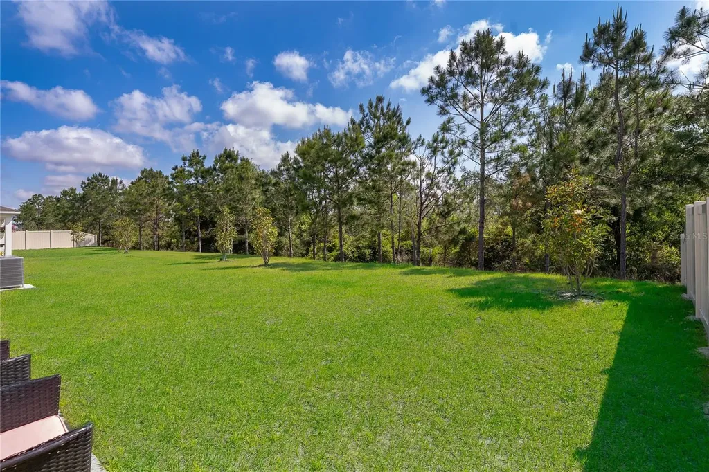 3390 Sanctuary Drive Clermont FL 34714