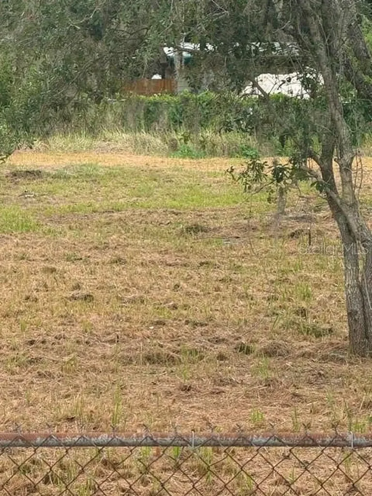 0 Central Avenue Mulberry FL 33860