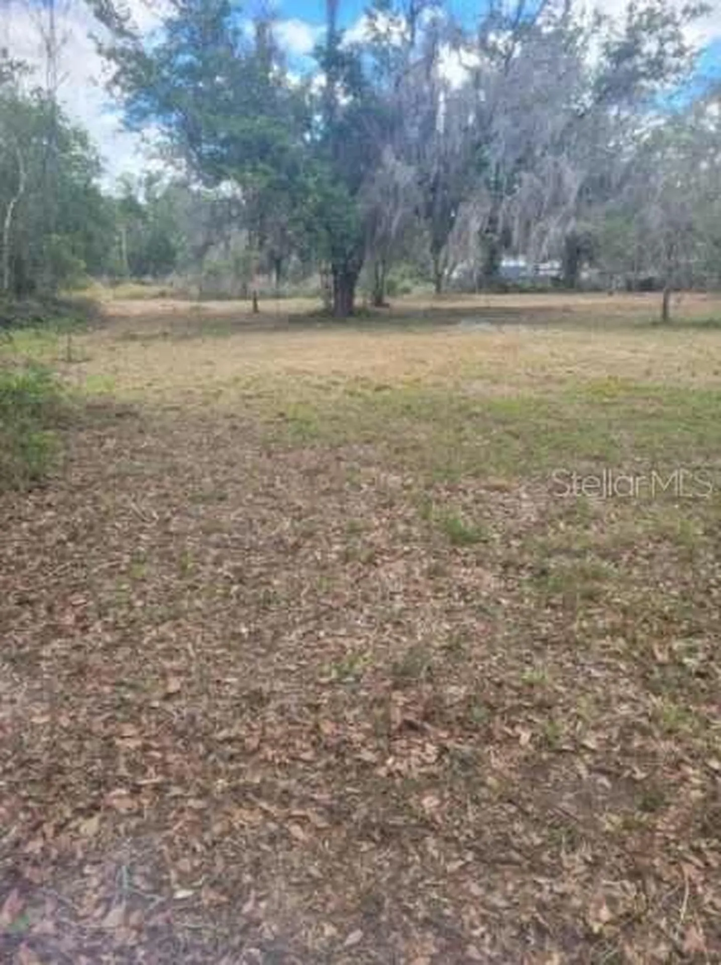 0 Central Avenue Mulberry FL 33860