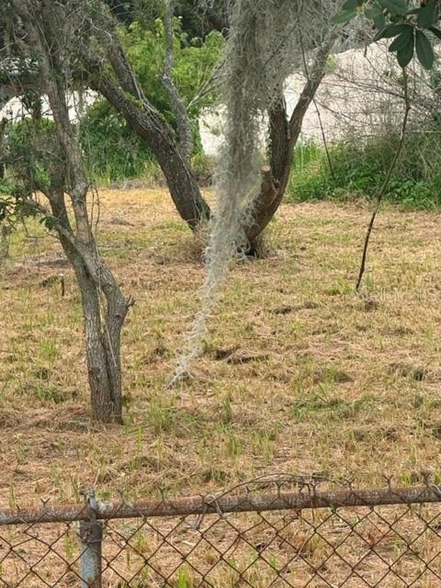 0 Central Avenue Mulberry FL 33860