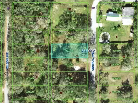 0 Central Avenue Mulberry FL 33860