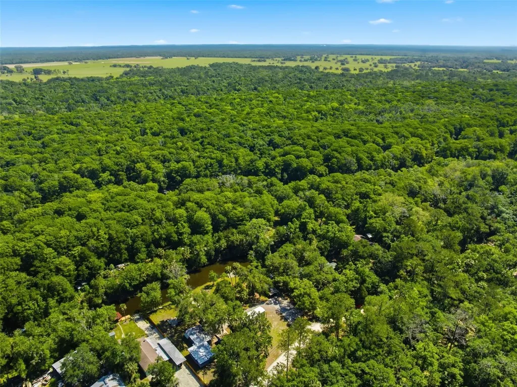 6339 E River Road Hernando FL 34442
