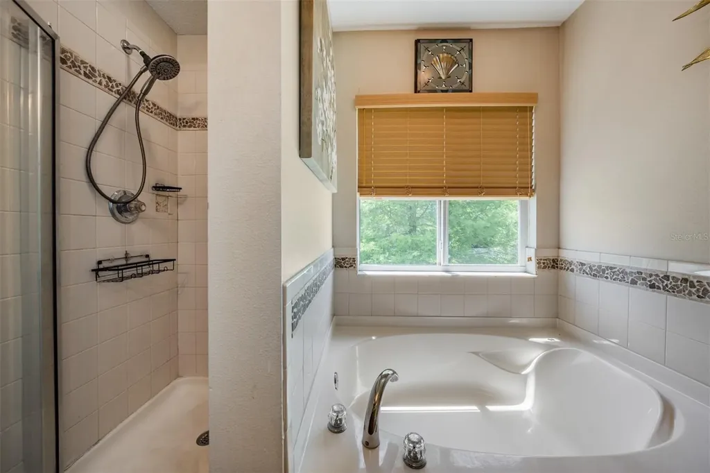 3132 Royal Tuscan Lane Valrico FL 33594