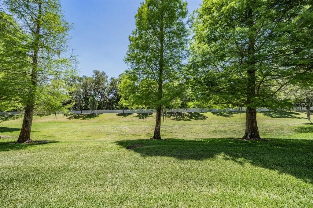 3132 Royal Tuscan Lane Valrico FL 33594