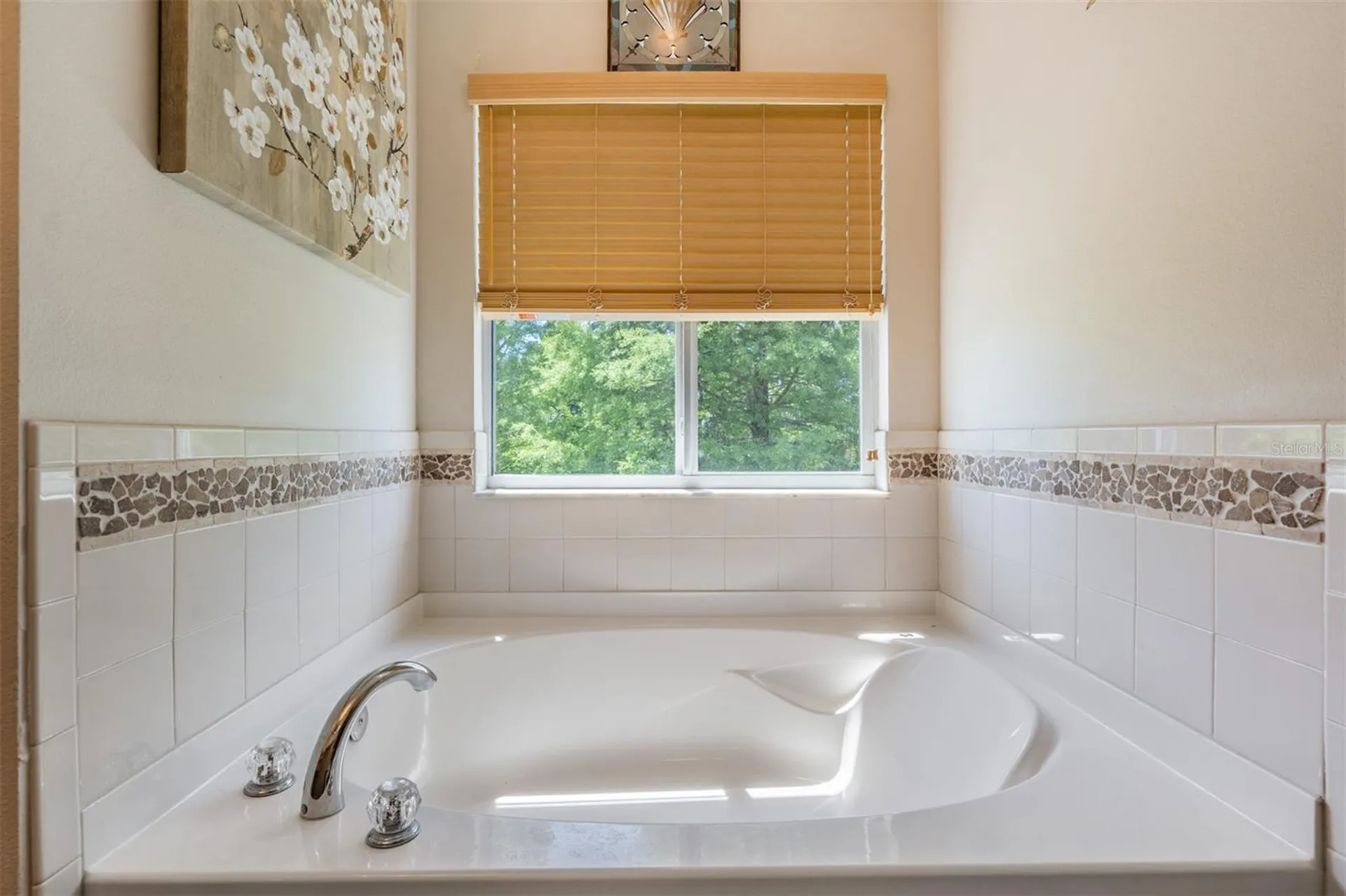 3132 Royal Tuscan Lane Valrico FL 33594