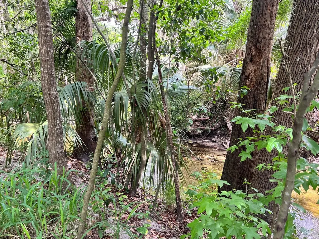 652 Roaring Drive Altamonte Springs FL 32714